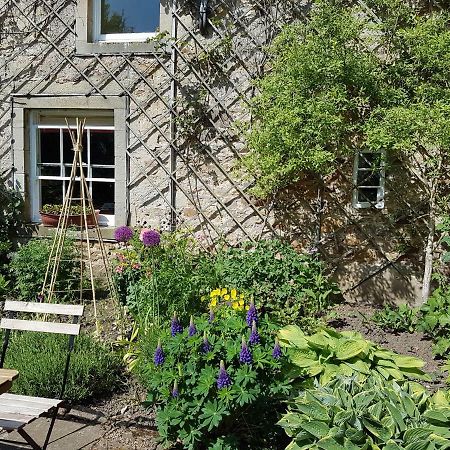Owl Cottage Хексем Экстерьер фото